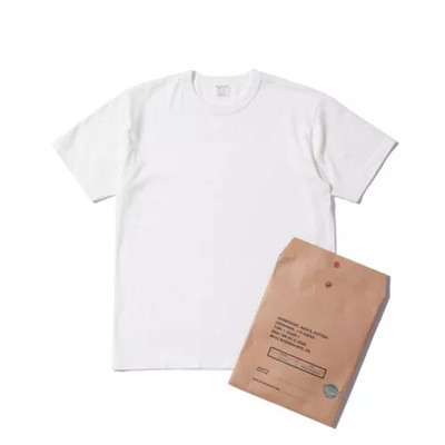 BUZZ RICKSON'S BR78960 / PACKAGE T-SHIRT GOVERNMENT MADE IN Japan New  | eBay | eBay UK