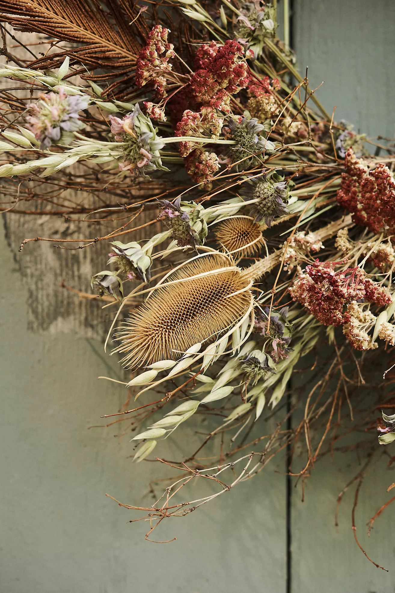 Dried Fern, Statice + Pennycress Wreath | Anthropologie (US)