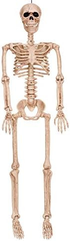 Crazy Bonez Poseable Skeleton Decoration, 36" | Amazon (US)