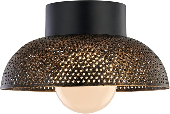 TeHenoo Industrial Flush Mount Ceiling Light,Dome Metal Shade with Perforated Pattern,Rustic Ceil... | Amazon (US)