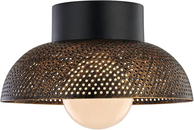 TeHenoo Industrial Flush Mount Ceiling Light,Dome Metal Shade with Perforated Pattern,Rustic Ceil... | Amazon (US)