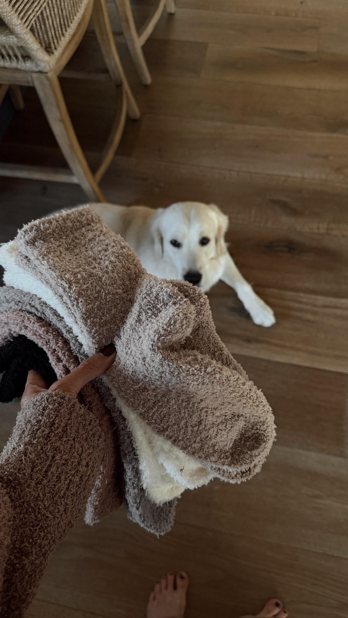 The coziest fuzzy socks! They come in a pack of 5 and would also make a great gift for anyone on your list this holiday #stylinbyaylin #amazon #giftideas #socks #cozy

#LTKGiftGuide #LTKHoliday #LTKselfcare