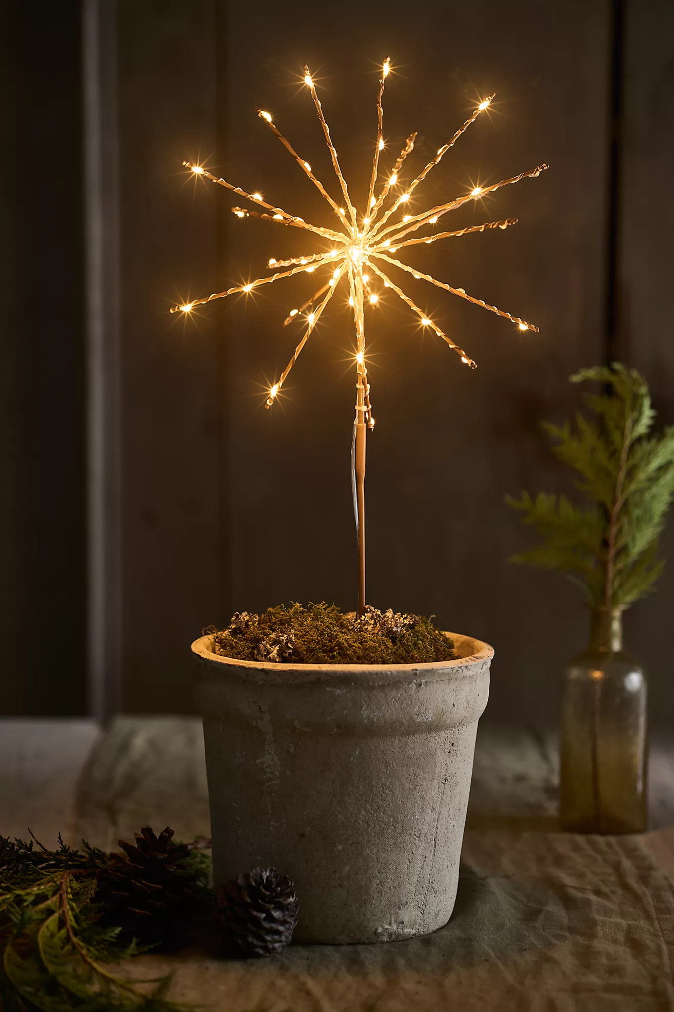 Stargazer Supernova Twinkling Stake Light | Anthropologie (US)