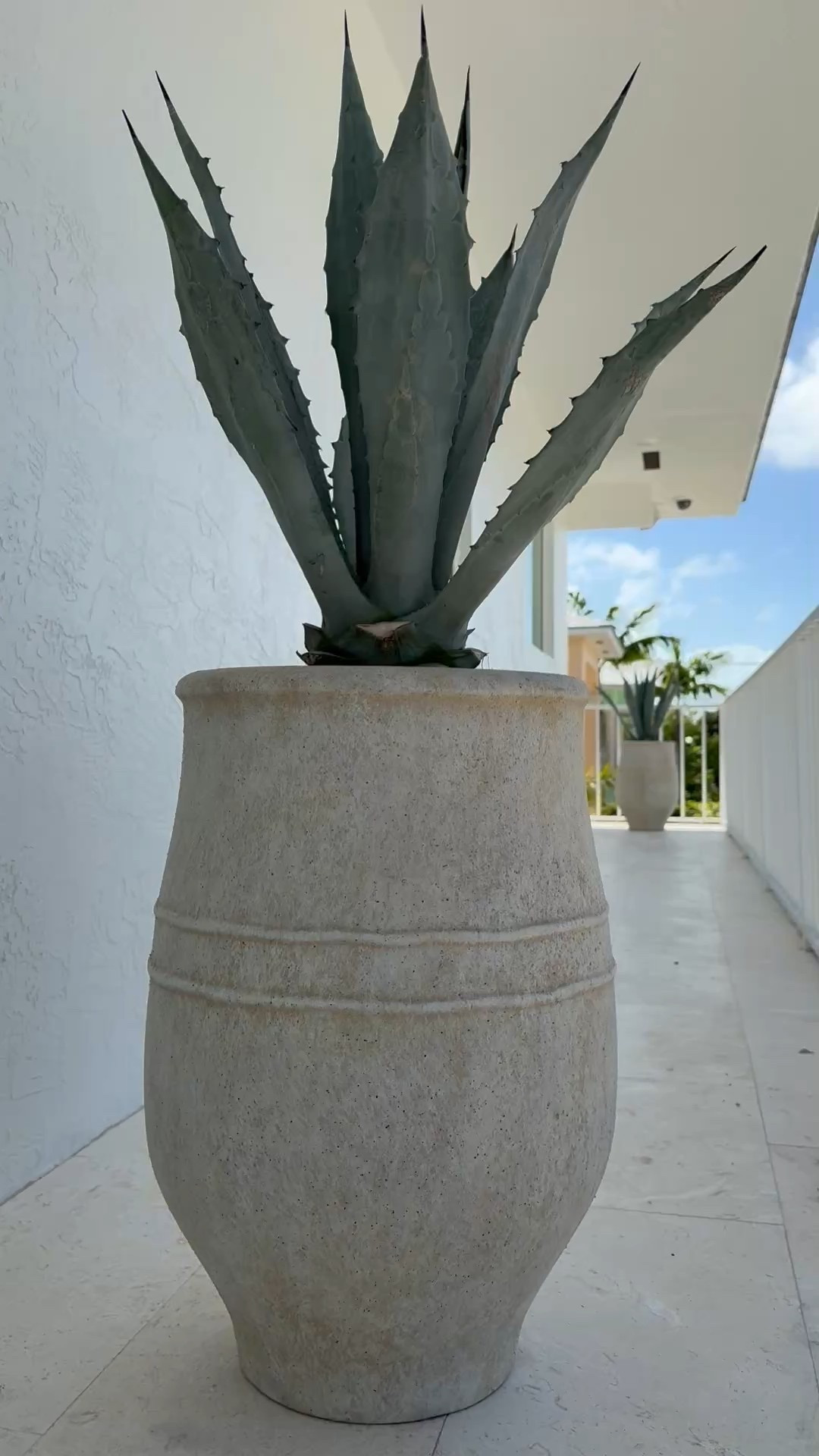 Got these new pottery barn olive jar planters for the beach house and i love them so much! ✨ these are also gorgeous for inside 🤍

#planters #olivejarplanter #modernorganic #coastal #outdoordecor #outdoorplanter #potterybarn 

#LTKHome #LTKSeasonal