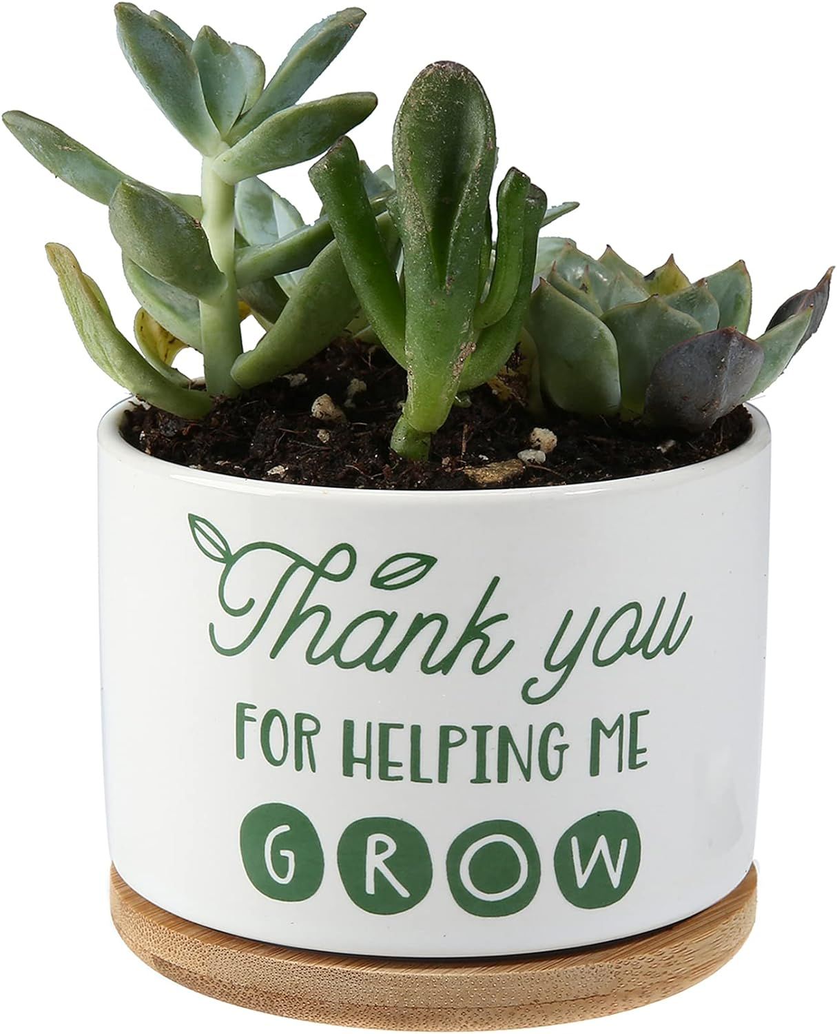 Amazon.com : Teachers Appreciation Gift, Ceramic Succulent Plant Pot Small Flower Planter, Thank ... | Amazon (US)