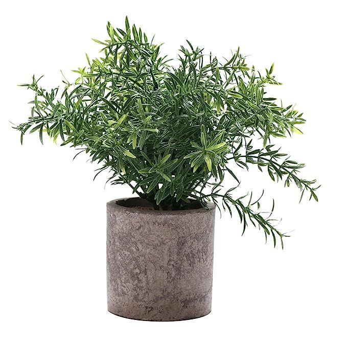 HC STAR Artificial Plant Potted Mini Fake Plant Decorative Lifelike Flower Green Plants - 1101 | Amazon (US)