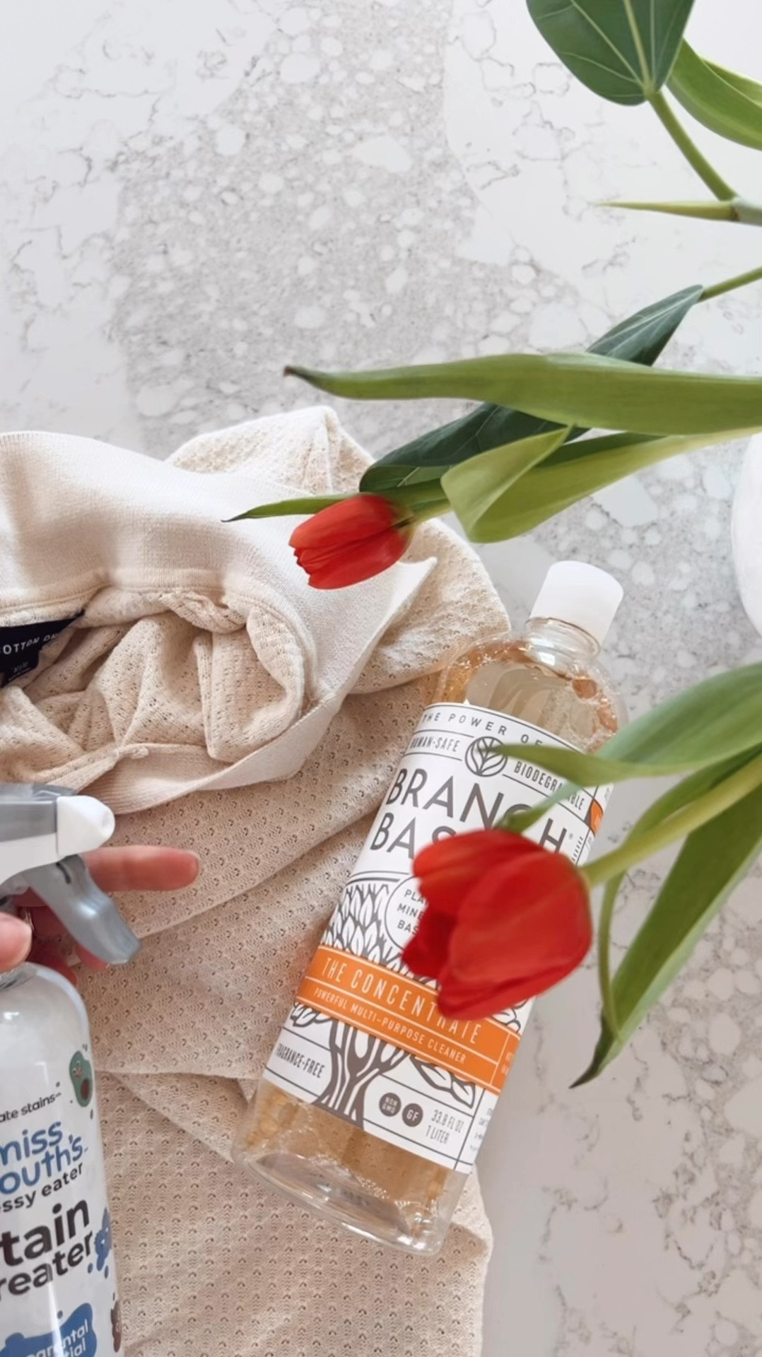 ~ favorite stain removers … love adding the branch basics concentrate to every load especially to the whites ~ 

#LTKU #LTKFamily