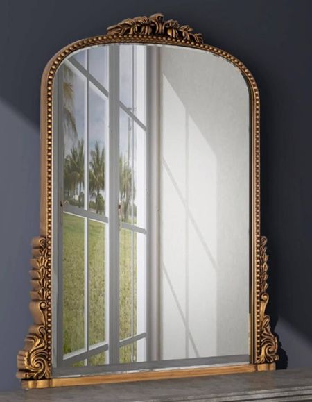 This beautiful viral mirror approx 30”x24” is at a great price right now. Grab it while you can before it sells out for your Spring home refresh. 

#LTKsalealert #LTKhome #LTKstyletip