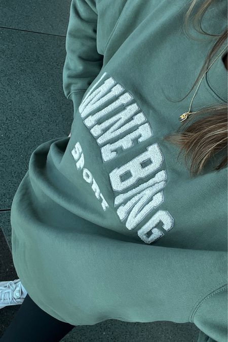 Anine bing oversized sweatshirt 