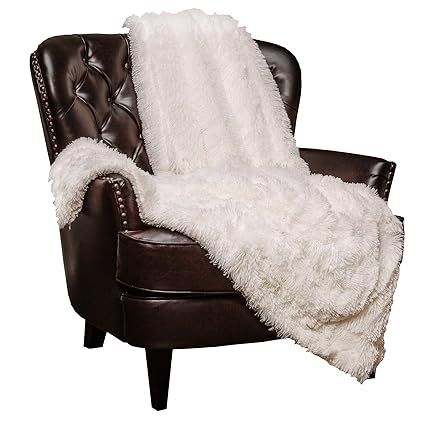 Chanasya Super Soft Shaggy Longfur Throw Blanket | Snuggly Fuzzy Faux Fur Lightweight Warm Elegan... | Amazon (US)