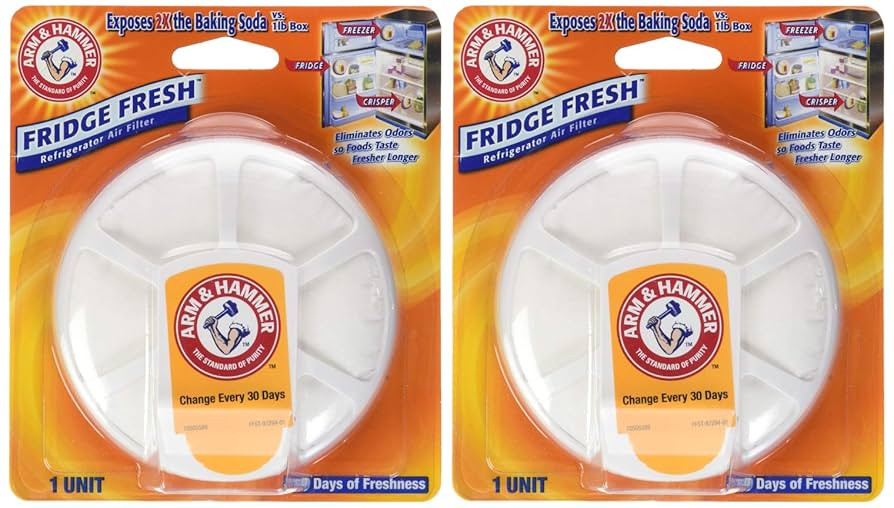 Arm & Hammer Fridge Fresh Refrigerator, 1 Count (Pack of 2) | Amazon (US)