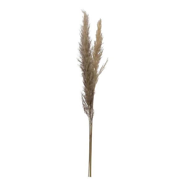 Creative Co-Op Dried Natural Pampas Grass Bunch | Scheels