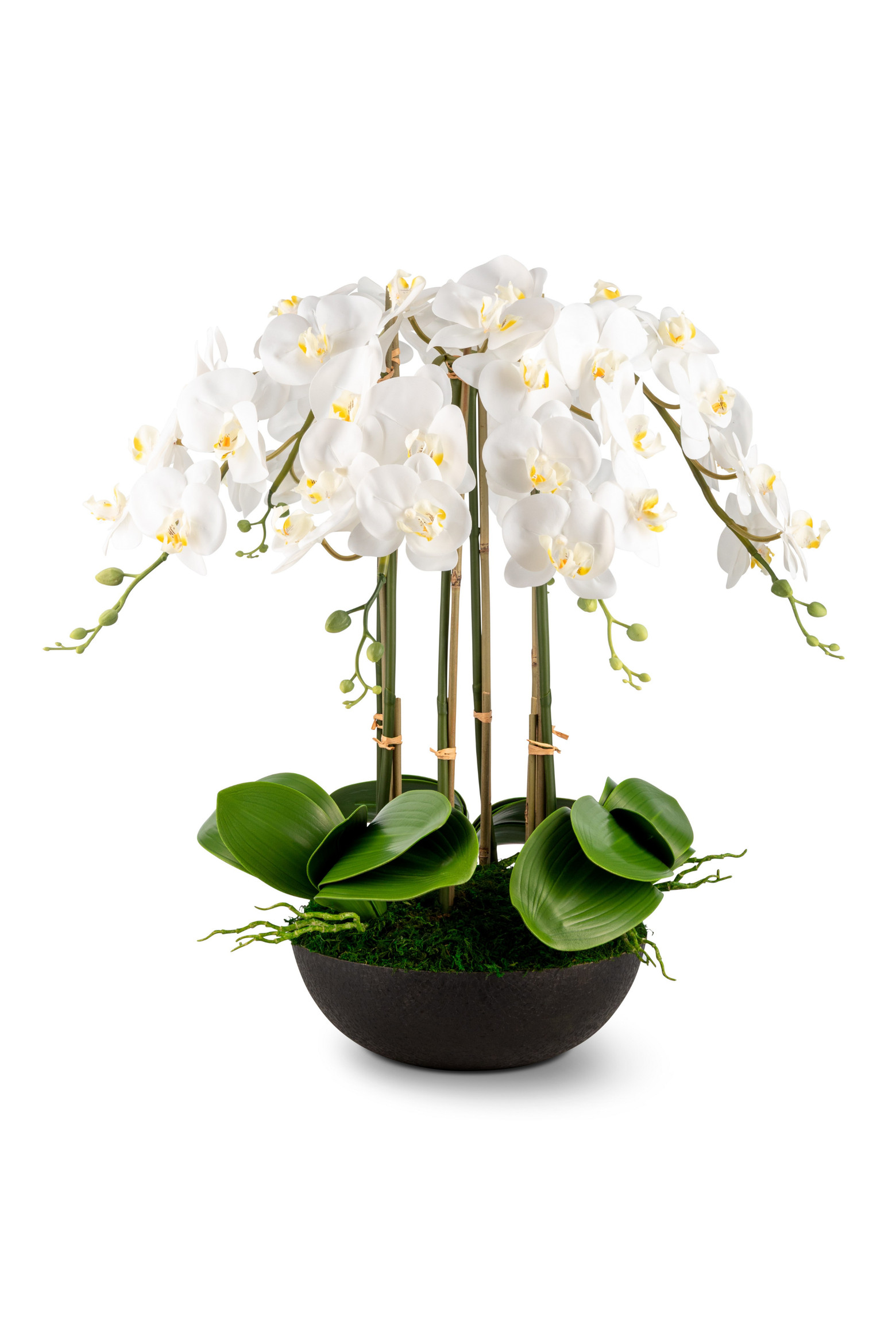 Abella RealTouch Orchid Arrangement | Nordstrom | Nordstrom