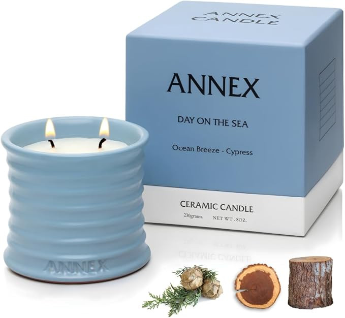 Annex Sea Breeze and Cypress Balls Luxury Scented Candle - 8oz Handmade Blue Ceramic Jar Candle, ... | Amazon (US)