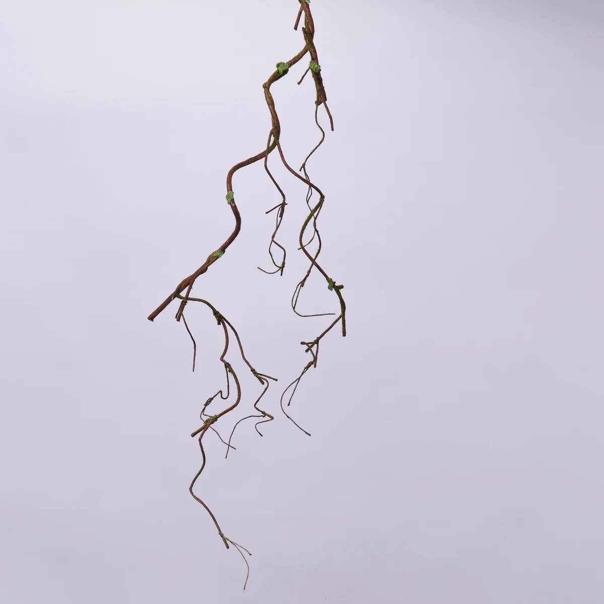 Natural Brown Wired Branch Twig & Green Moss Draping Vine Garland Spray - 37" | Darby Creek Trading