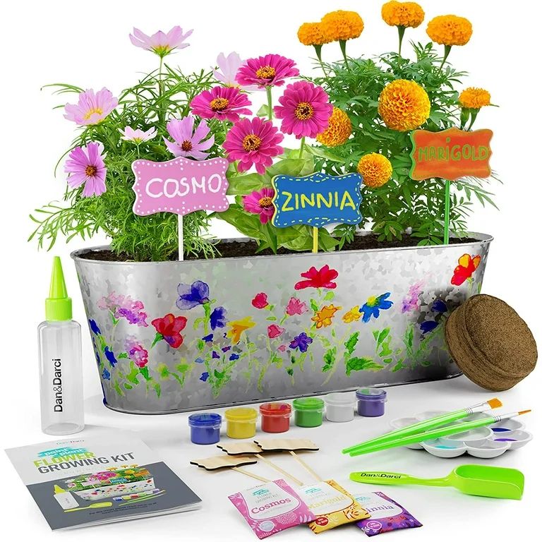 Dan&Darci Paint & Plant Flower Growing Kit for Kids - Best Birthday Crafts Gifts for Girls & Boys... | Walmart (US)