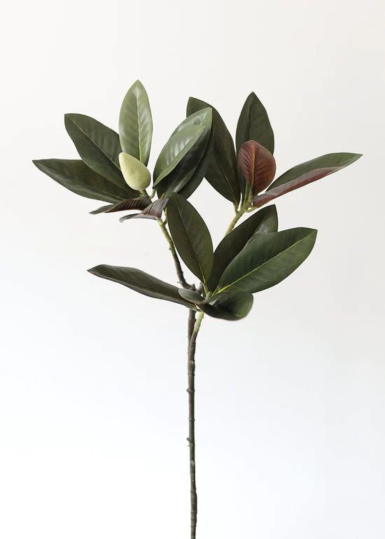Artificial Magnolia Leaf - 34.5" | Afloral (US)