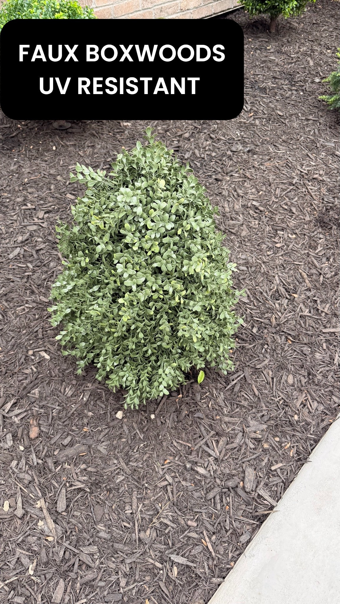 faux realistic boxwoods that are uv resistant and have stake for ground

#LTKHome #LTKSaleAlert #LTKSeasonal
