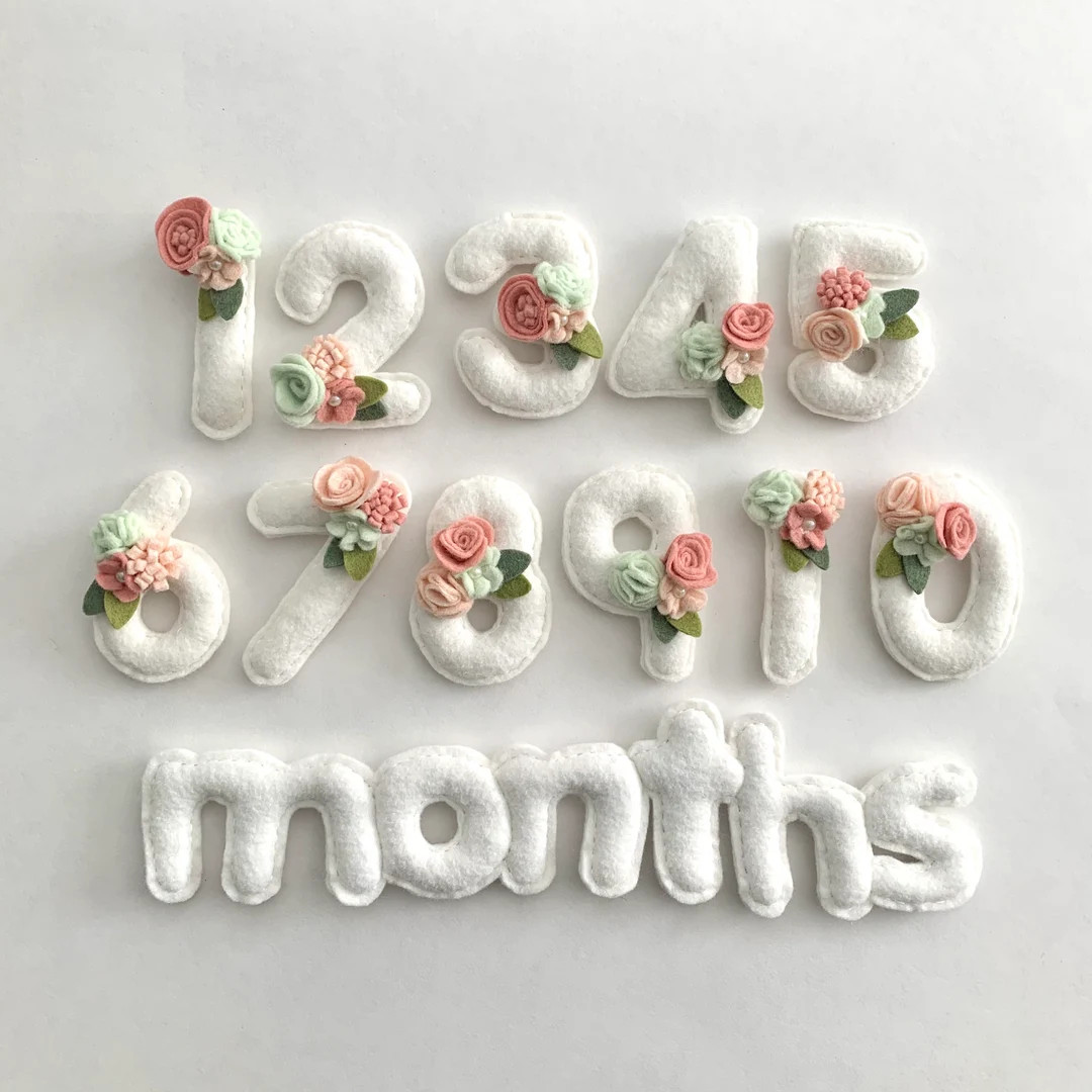 Felt Baby Milestone Numbers • Blush Baby Bump Countdown Numbers • Pregnancy Week Countdown Nu... | Etsy (US)