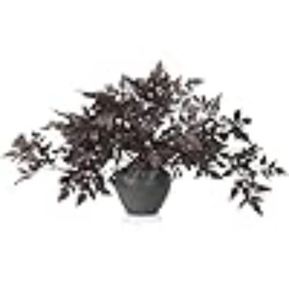 Lyrow 6 Pack Artificial Cimicifuga Plant Leaf Spray Faux Plum Cimicifuga Ramosa Leaf Branch Faux ... | Wayfair North America