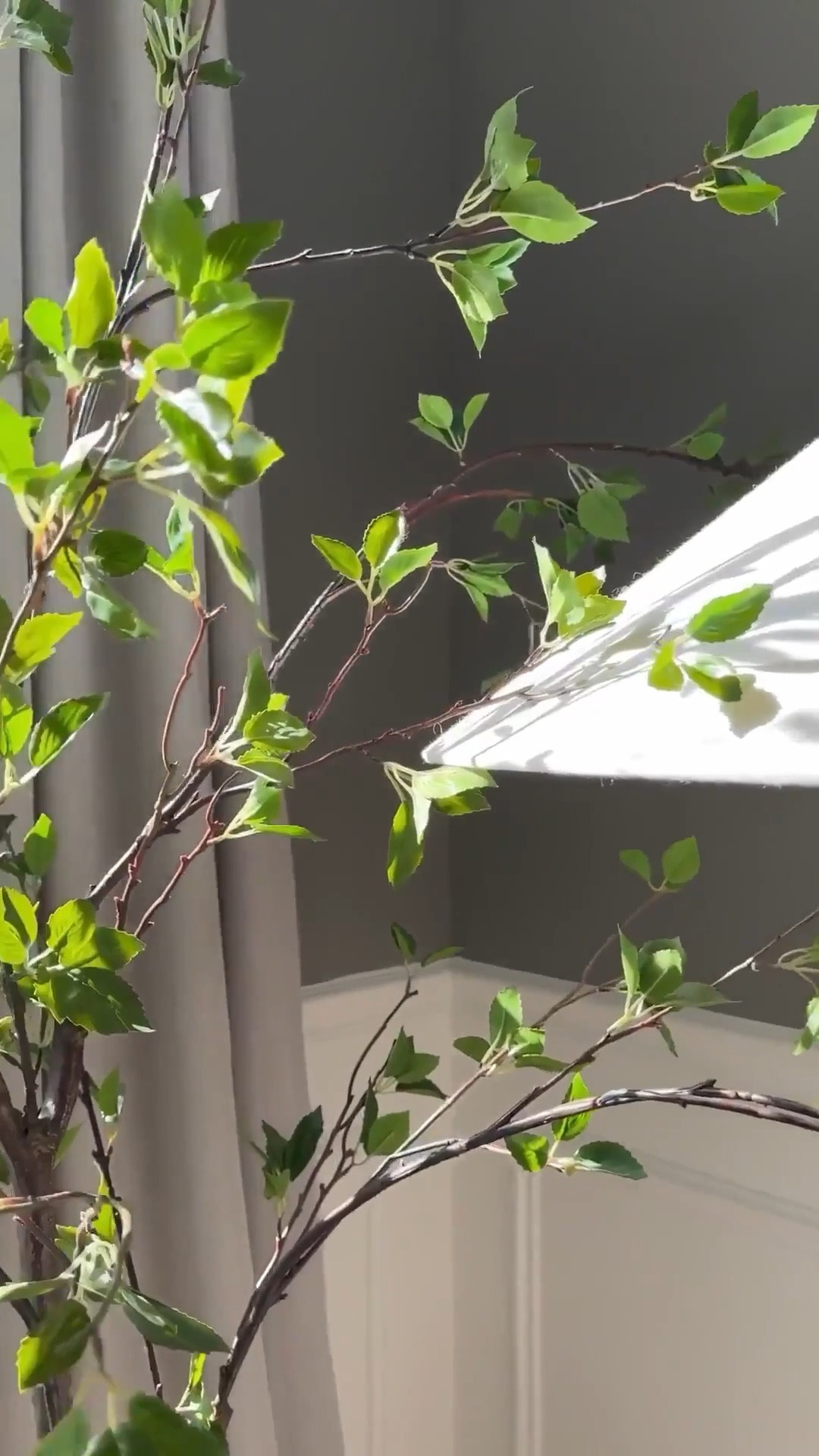 One of my all time favorite faux trees! This is a 6.5ft faux citrus tree and it creates the most organic and wispy look which I love! A great price point too—under $140!