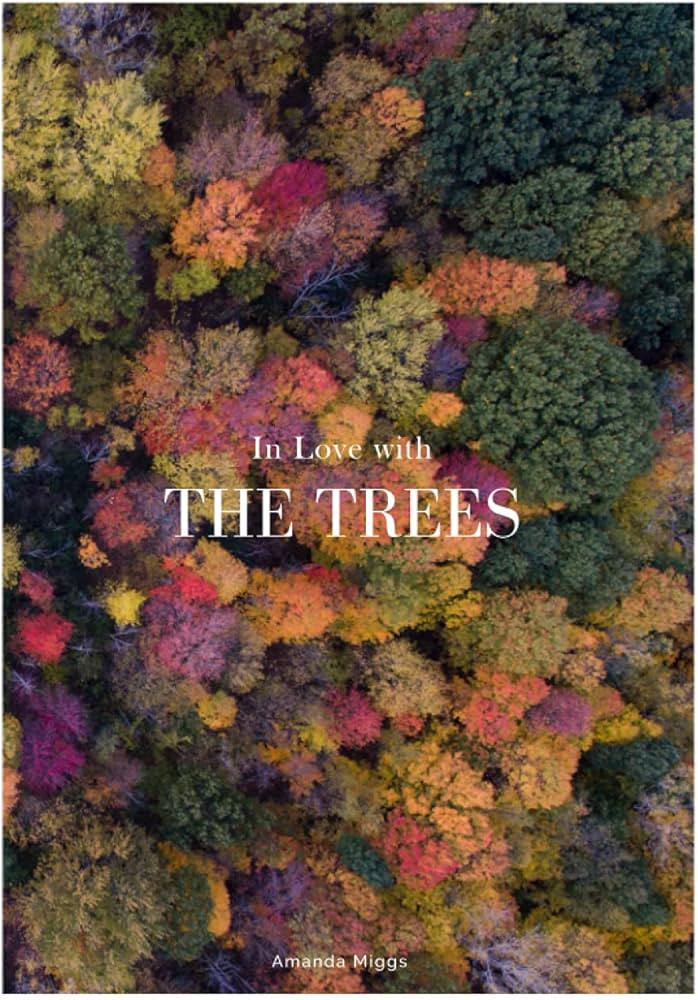 In Love With The Trees: Coffee Table Book About Trees (Edition: Autumn): Large 8.25x11 Inches, Co... | Amazon (US)