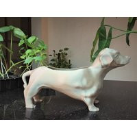 Dachshund Planter, Dog Pot Home & Living, Outdoor Gardening, Planters Pots, Dachshund Gifts, Dog Lover Gift, Floor & Rugs | Etsy (US)