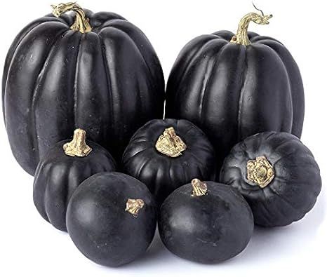 Set of 7 Artificial Black Pumpkins | Amazon (US)