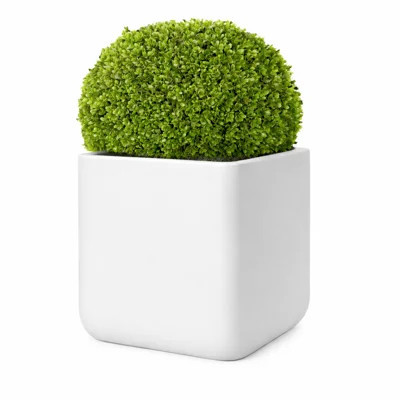 Kute Nest Indoor/Outdoor H11.5" Cubo Fiberstone Planter - Santorini White - Pot Opening 9 | Wayfair North America