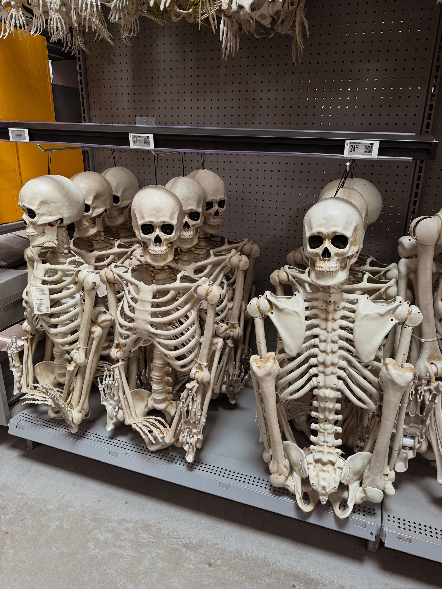 Full size skeletons

#LTKmomlife #LTKSeasonal #LTKHome