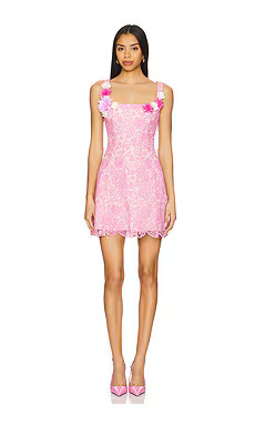 x REVOLVE Brooke Mini Dress
                    
                    ELLIATT
                    ... | Revolve Clothing (Global)