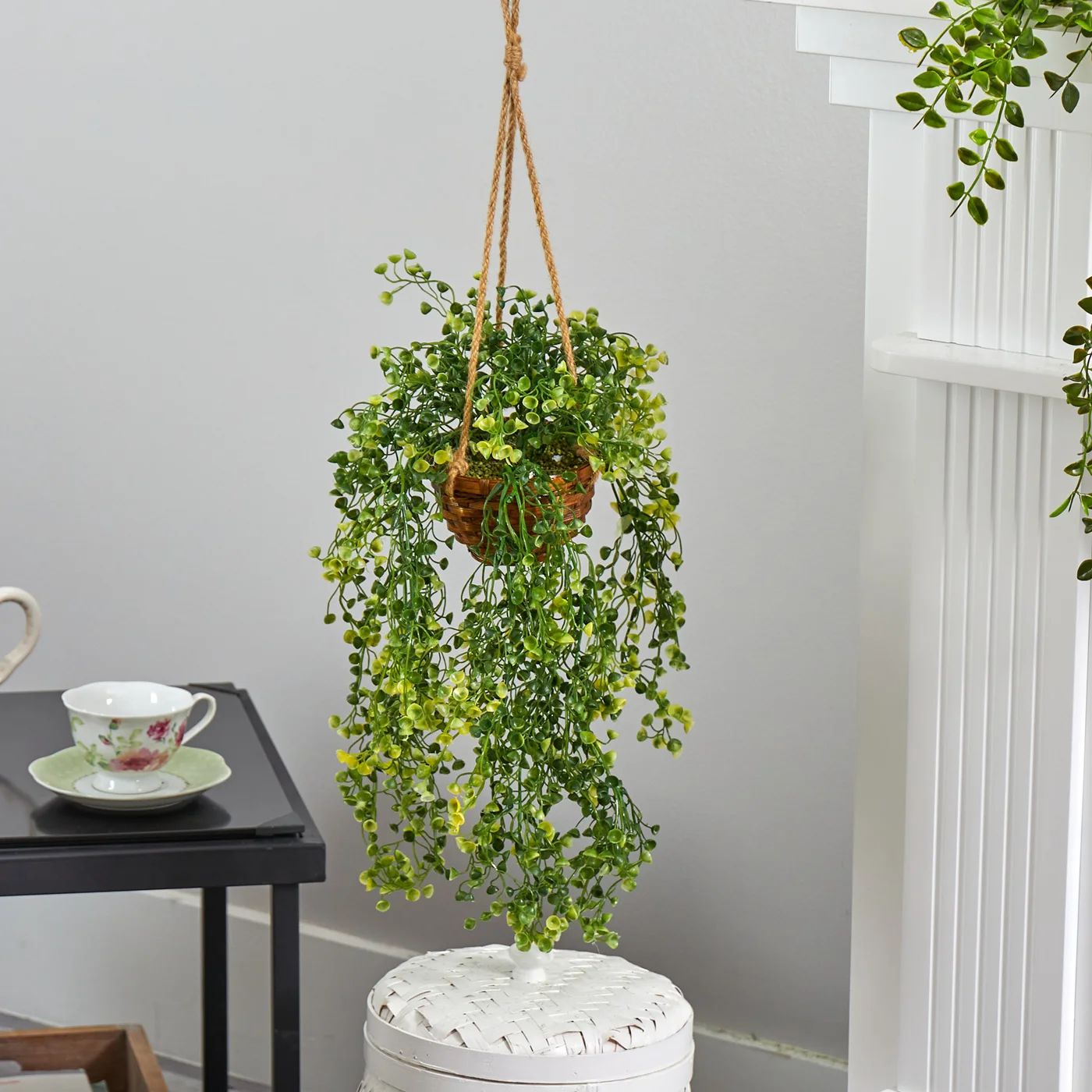 20'' Faux Baby Tear Plant in Basket | Wayfair North America