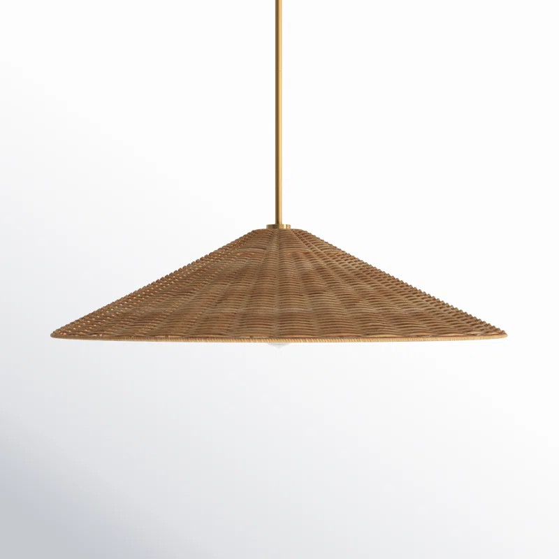Lilliana Single Light Rattan Pendant | Joss & Main