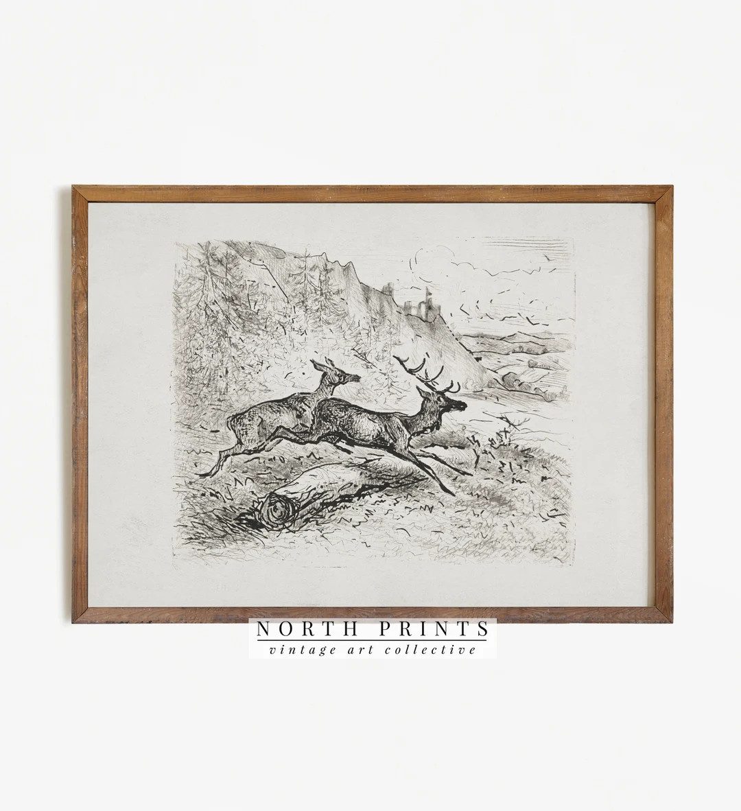 Rustic Vintage Deer Sketch Nursery Woodland Drawing Neutral - Etsy | Etsy (US)