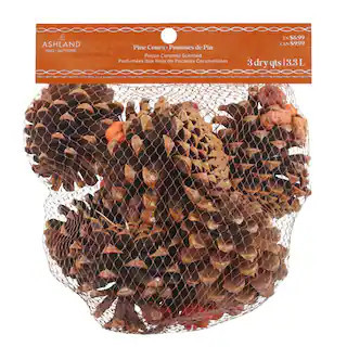 3qt. Pecan Caramel Scented Pine Cones by Ashland® | 3 qt | Michaels® | Michaels Stores