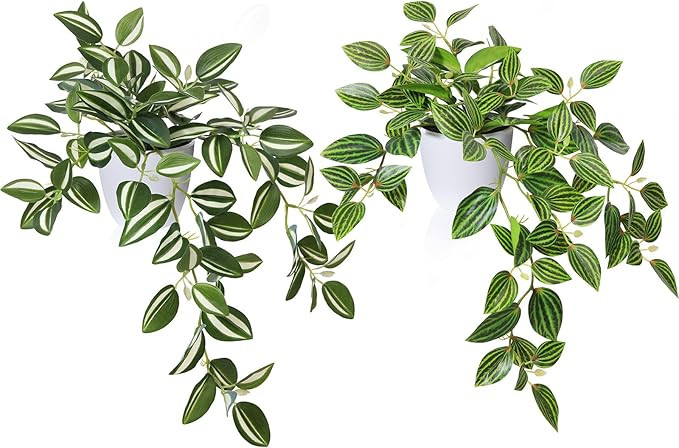 Fake Plants, Artificial Plants 15 Inch Faux Peperomia Watermelon Plants for Indoor Outdoor Decor,... | Amazon (US)