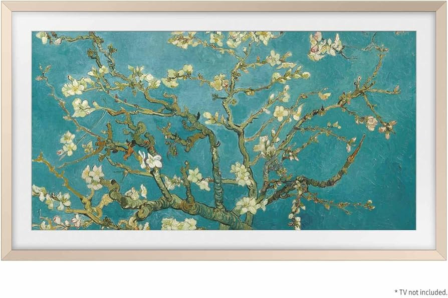 SAMSUNG 55” The Frame TV Customizable Bezel, Magnetic, Quick and Easy Installation, VG-SCFC55SG... | Amazon (US)