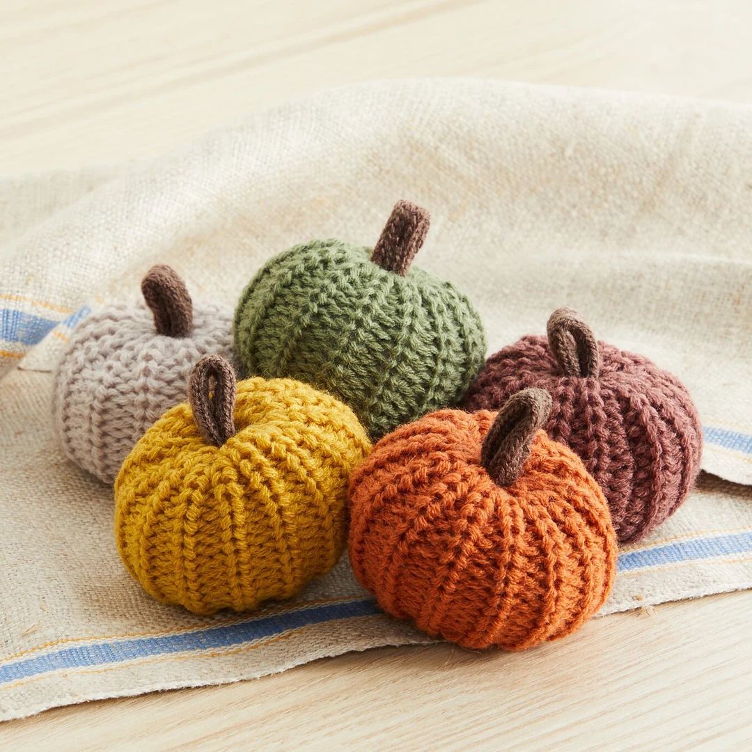Mini Knit Pumpkins Set of 5 autumn bowl fillers, decorative pumpkins for table, fall pumpkin tray... | Etsy (US)