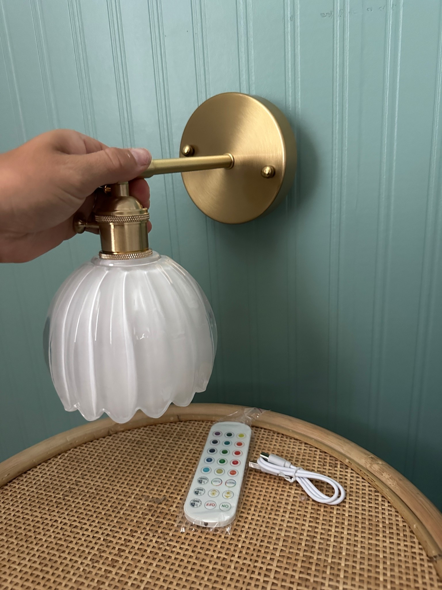 Tulip style rechargeable, color changing wall scones! ADORABLE! I am in love with these. Especially for my daughter’s room! Comes in a pack of 2 and each with its own remote! 

#LTKHome #LTKFindsUnder100 #LTKKids