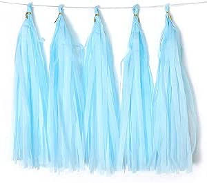 Binpeng Blue Tissue Paper Tassel DIY Hanging paper decorations Party Garland Decor for Party Deco... | Amazon (US)