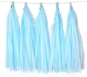 Binpeng Blue Tissue Paper Tassel DIY Hanging paper decorations Party Garland Decor for Party Deco... | Amazon (US)