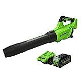 Greenworks 40V (550 CFM / 130 MPH) Brushless Axial Leaf Blower 4Ah USB Battery and Charger | Amazon (US)