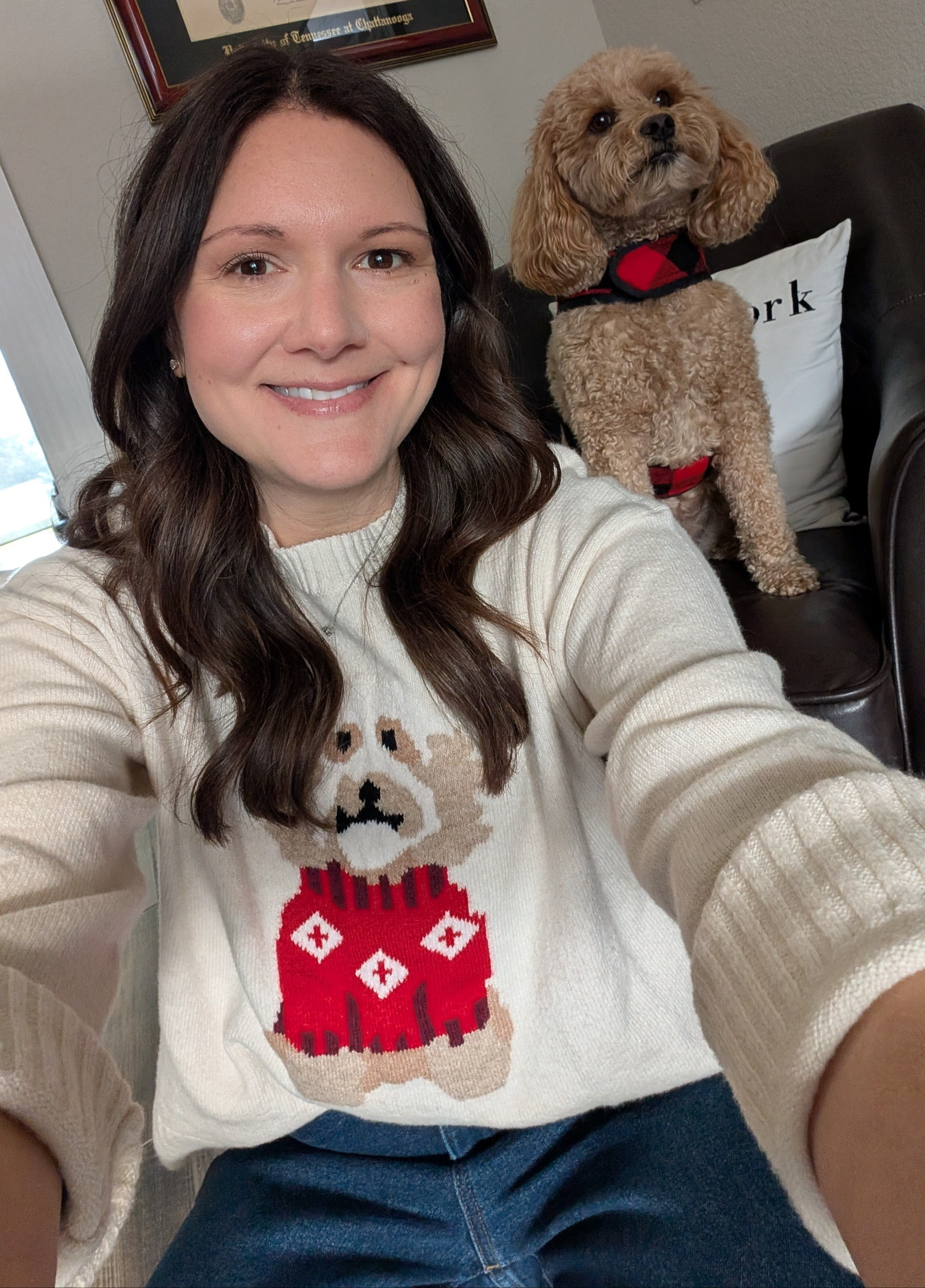 If you have a Goldendoodle, you need this sweater!

#LTKHoliday #LTKSaleAlert #LTKFindsUnder50