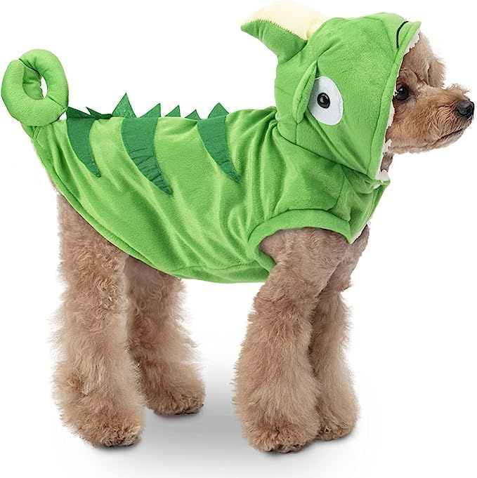 Rypet Dog Chameleon Costume Funny Puppy Halloween Costumes for Small Dogs Winter Coat Dog Warm Ou... | Amazon (US)