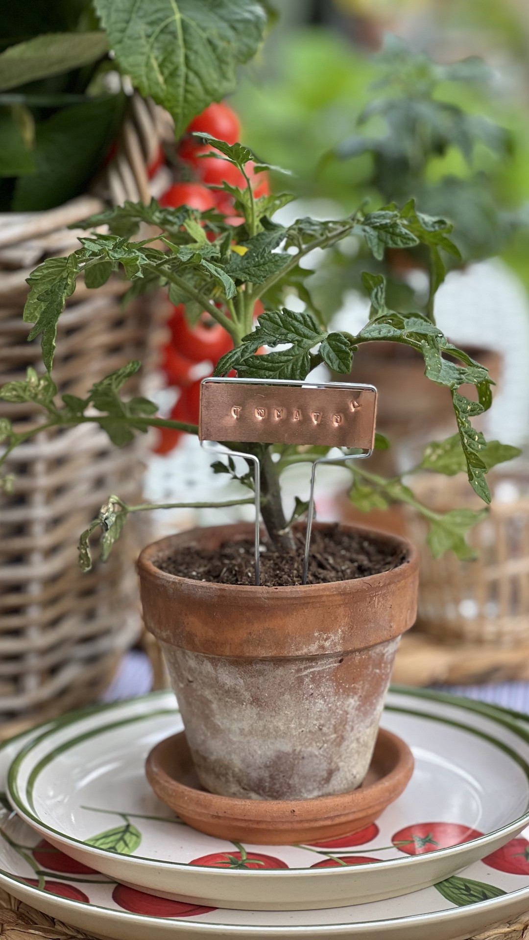 DIY plant stakes for you next dinner party!

#LTKdayinmylife #LTKOver40 #LTKHome