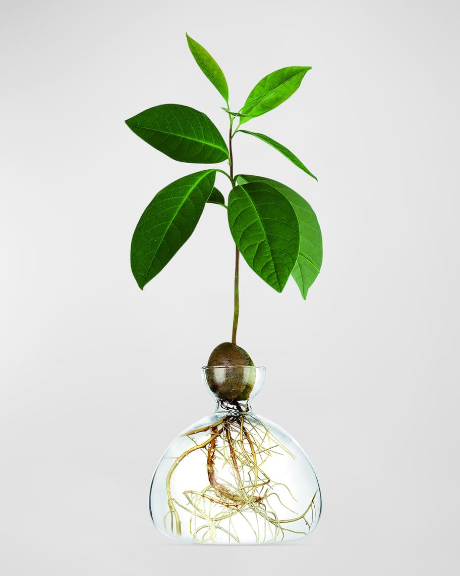 ILEX STUDIO Avocado Vase | Neiman Marcus