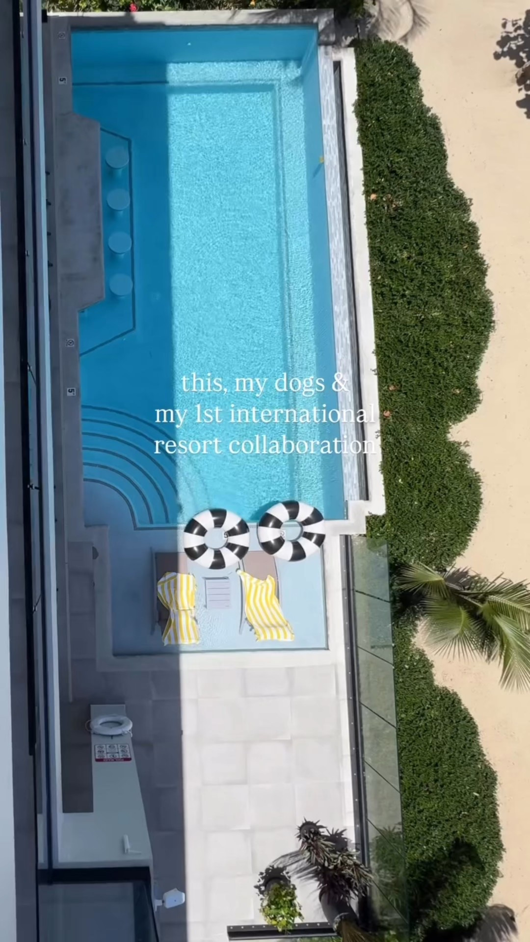 Summer pool floaties 

#LTKSummerEdit #LTKSwim