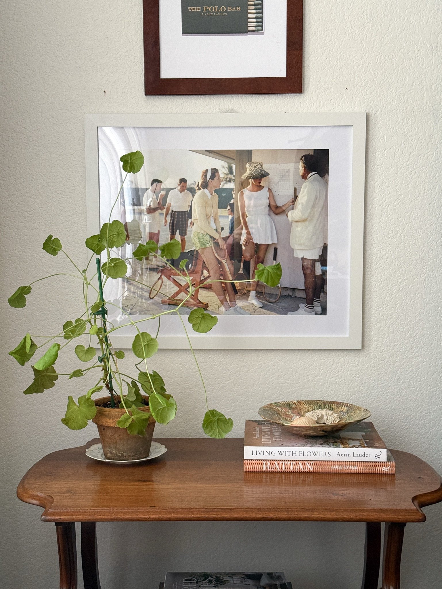 Indoor geranium 

#LTKdayinmylife #LTKHome #LTKSeasonal