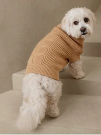 Cable Dog Sweater | Banana Republic Factory