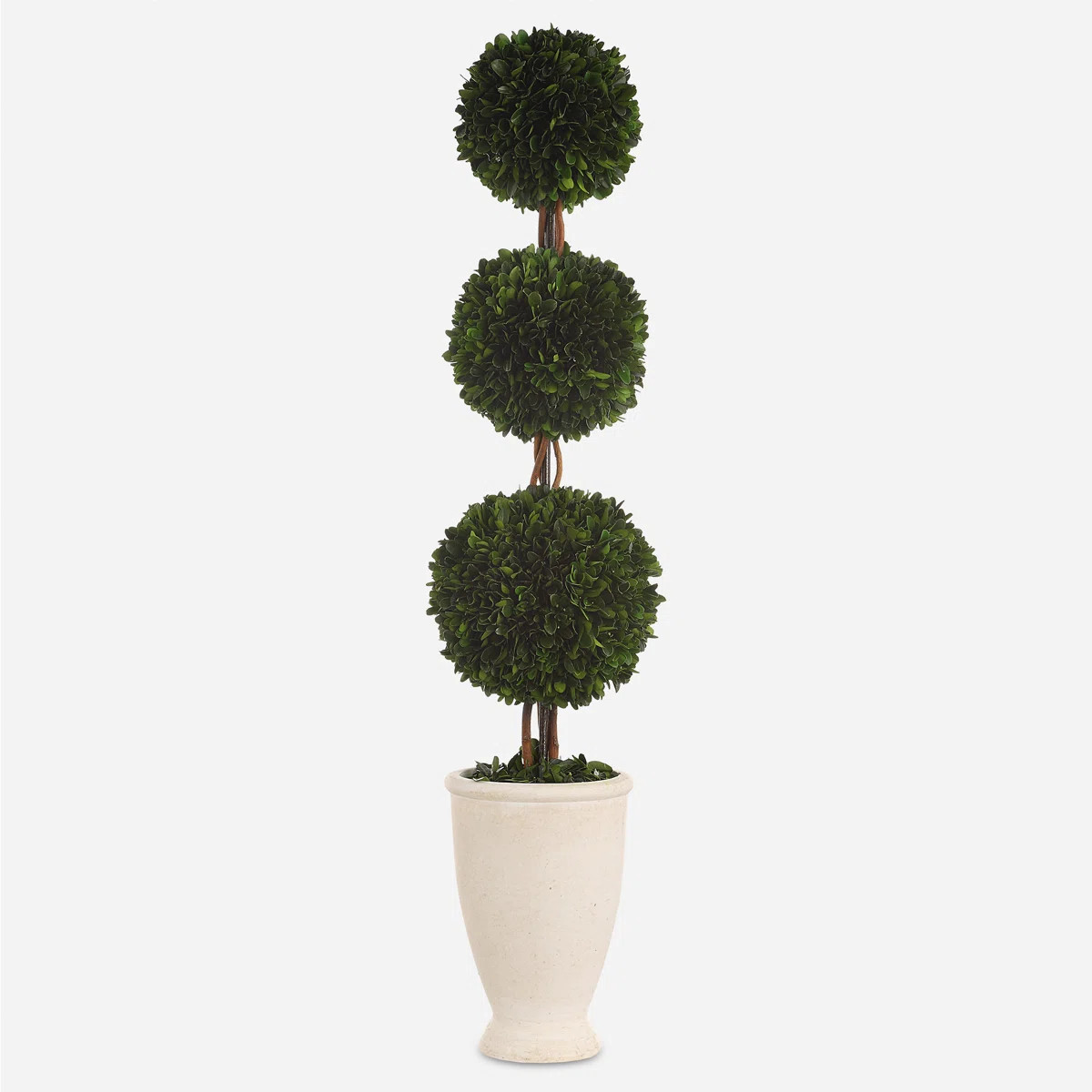 Primrue Preserved Boxwood Triple Topiary | Wayfair North America